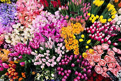 确认参展成都CD26《染色时间》将于8月15日正式上架