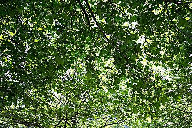 想不到马斯克也玩《艾尔登法环》 用的是法师构筑